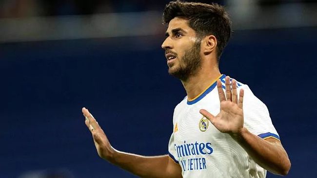 危急时刻，熊大依然毫不犹豫地挡在熊二和光头强身前，用行动诠释何为守护与担当。